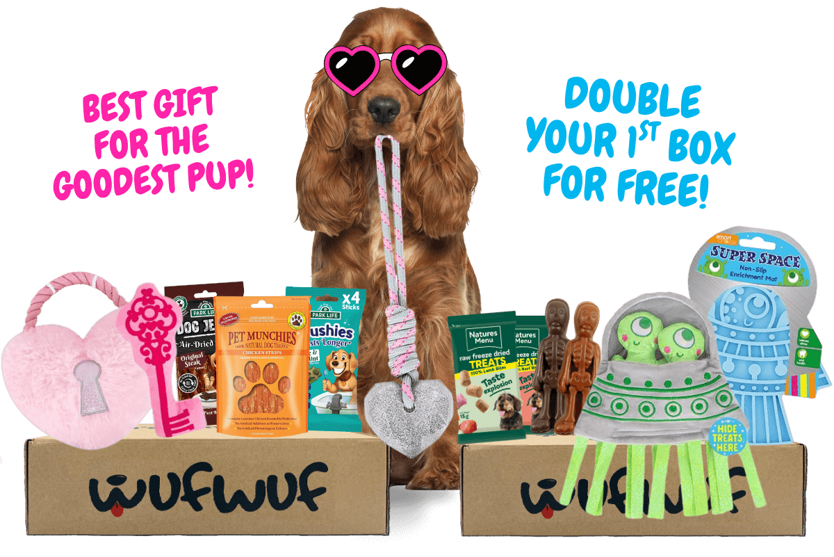 WufWuf - Your dog's monthly joy box.