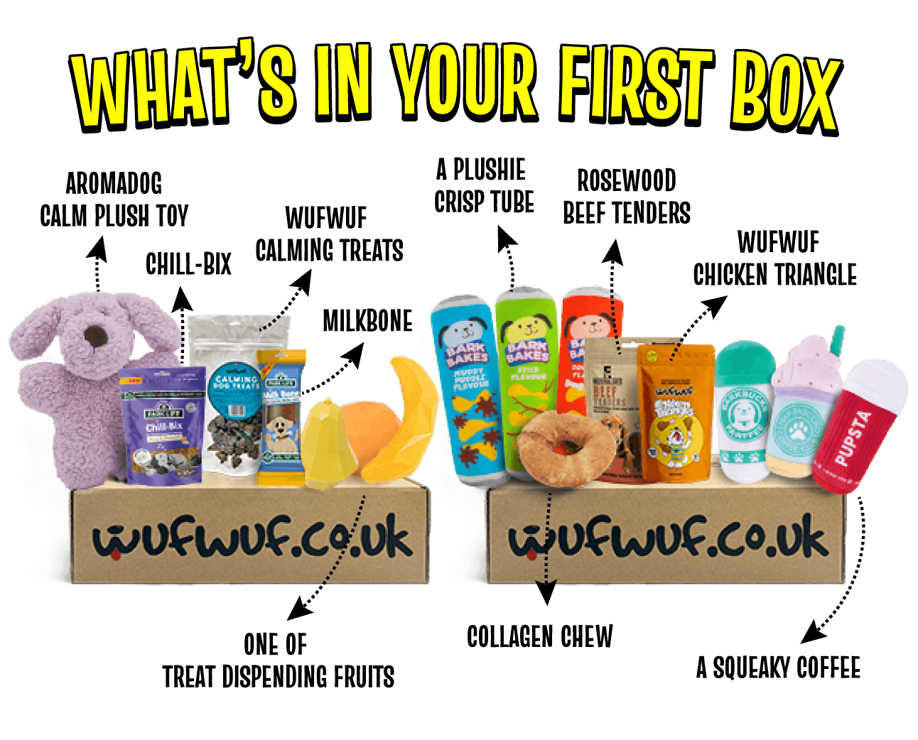 Monthly Dog Toy Subscription Boxes