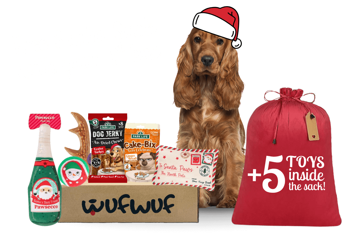 WufWuf - Your dog's monthly joy box.