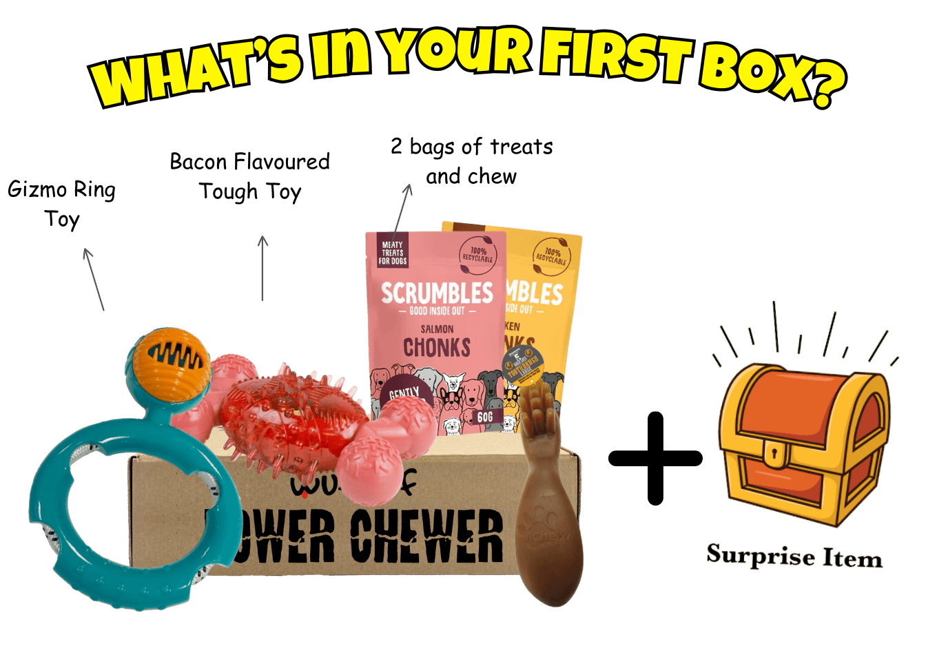 Power chewer dog box best sale