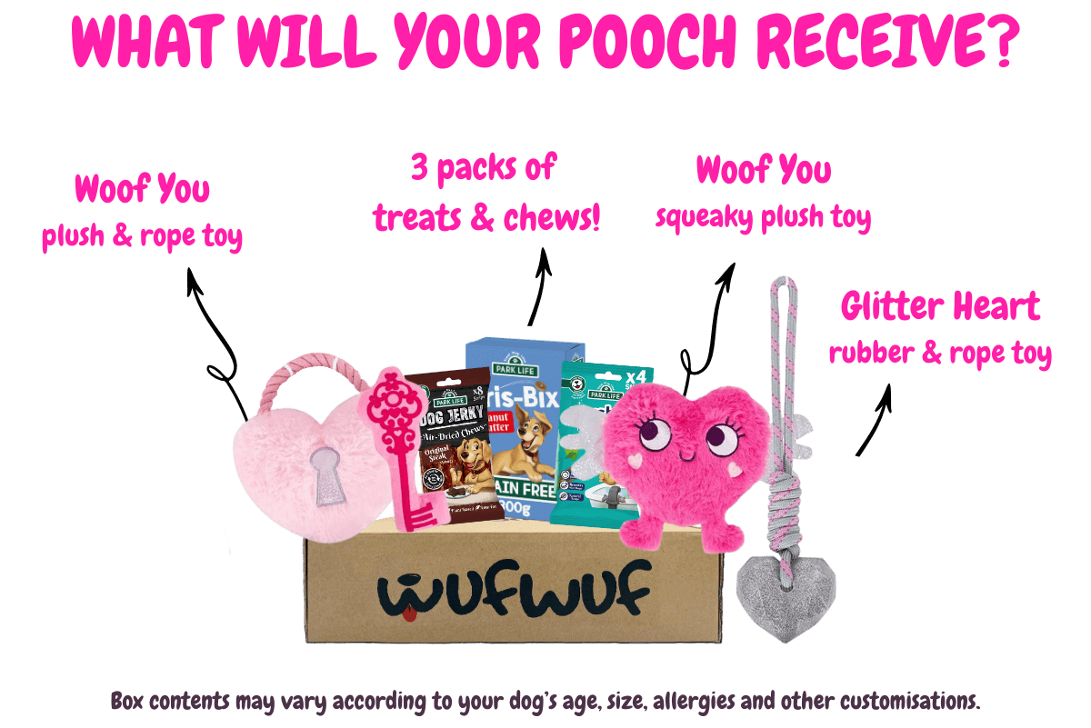 WufWuf - Your dog's monthly joy box.