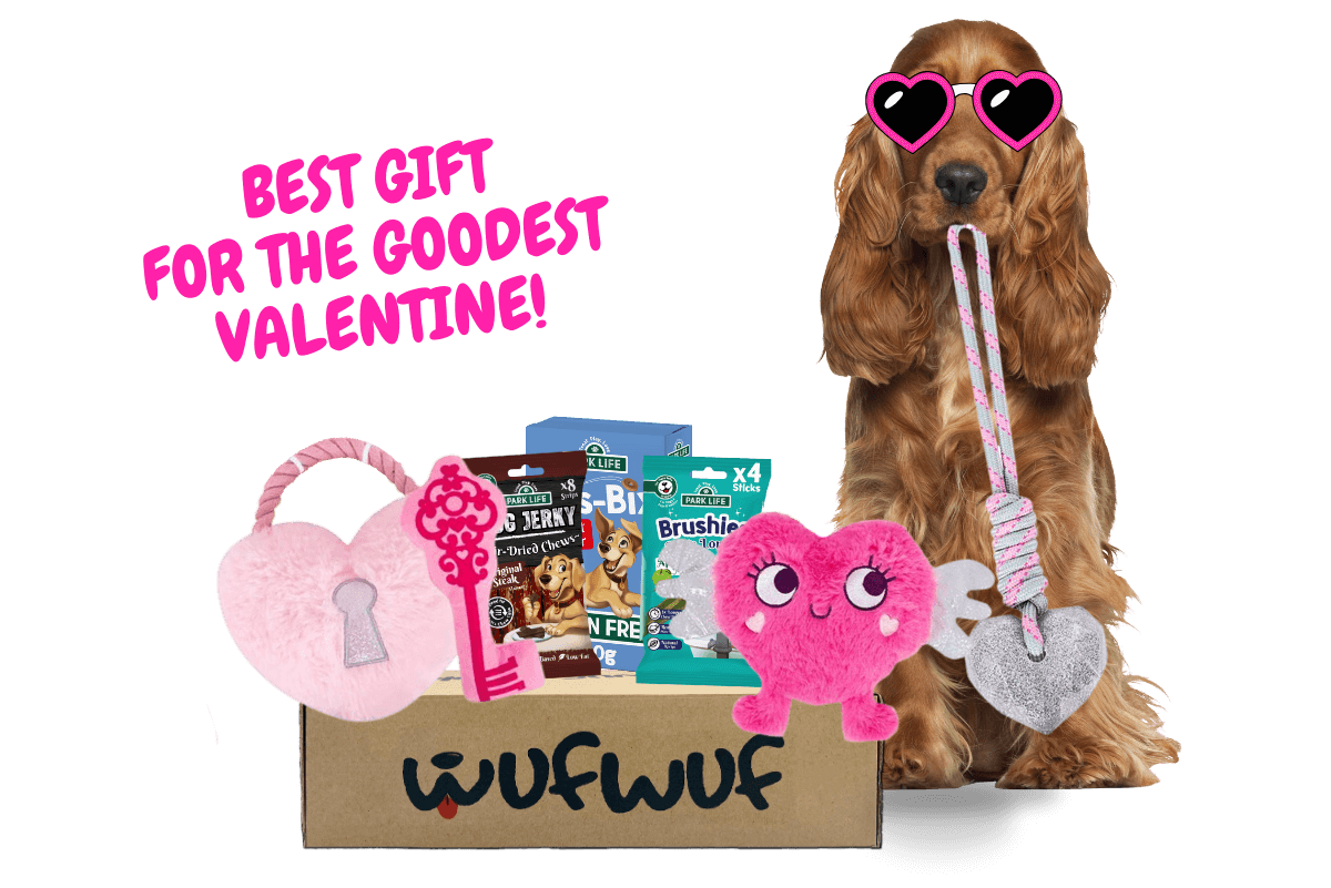 WufWuf - Your dog's monthly joy box.