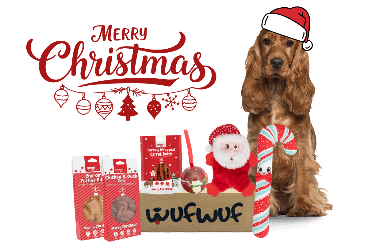 WufWuf - Your dog's monthly joy box.