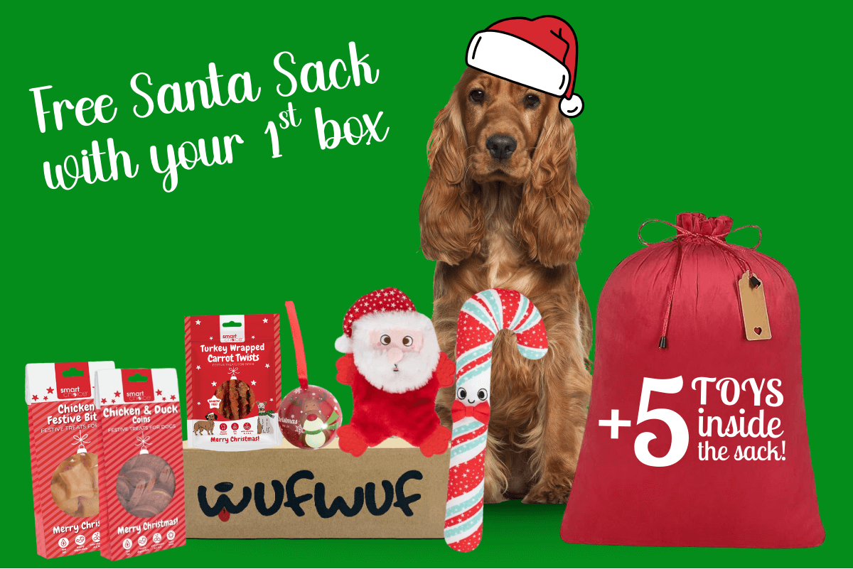 WufWuf - Your dog's monthly joy box.