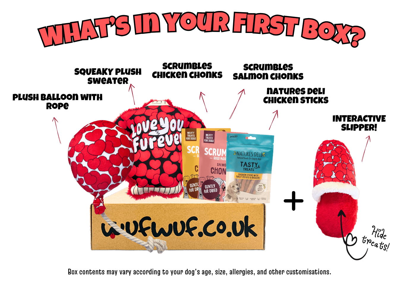 Monthly Dog Toy Subscription Boxes