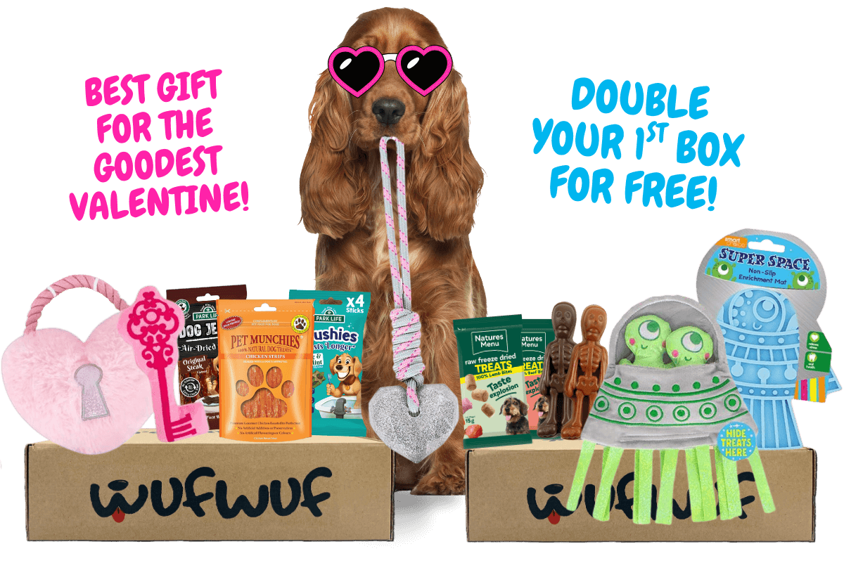 WufWuf - Your dog's monthly joy box.