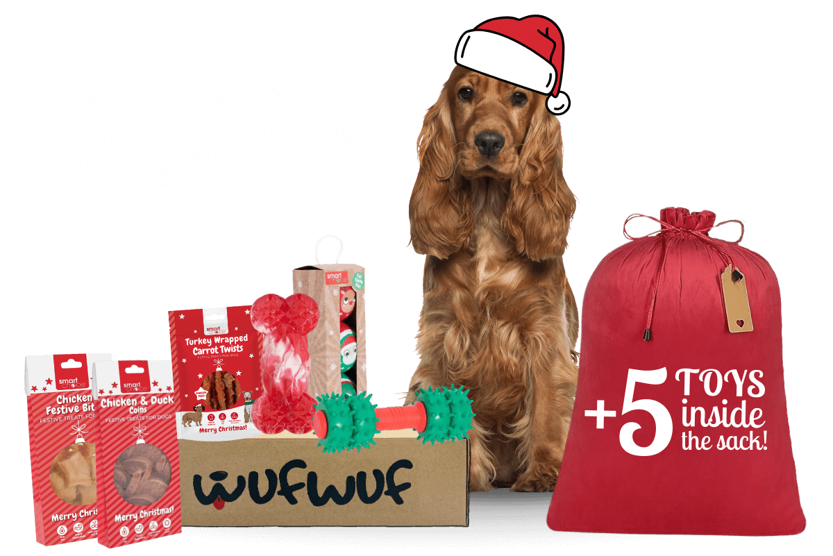 WufWuf - Your dog's monthly joy box.