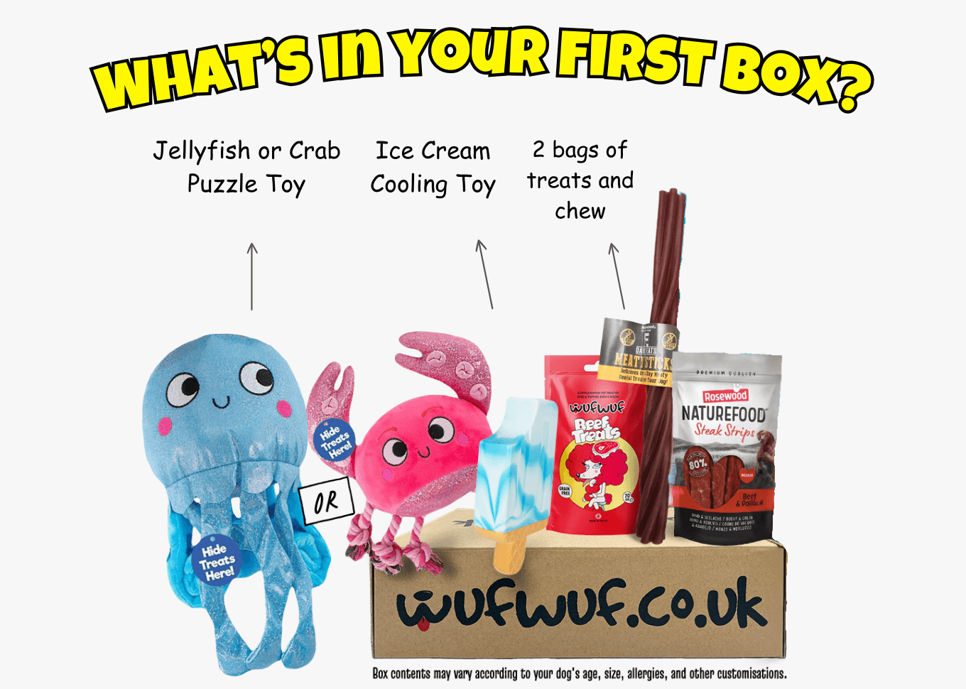 Monthly Dog Toy Subscription Boxes