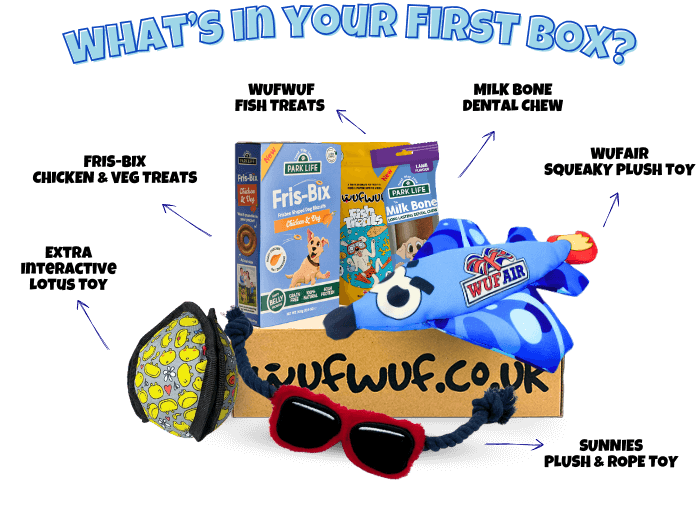 Monthly Dog Toy Subscription Boxes