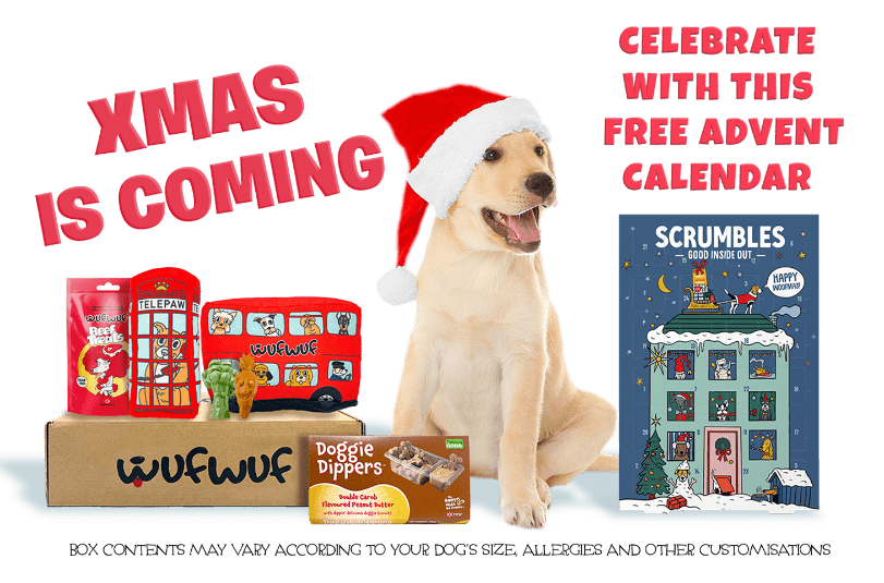 Monthly Dog Toy Subscription Boxes