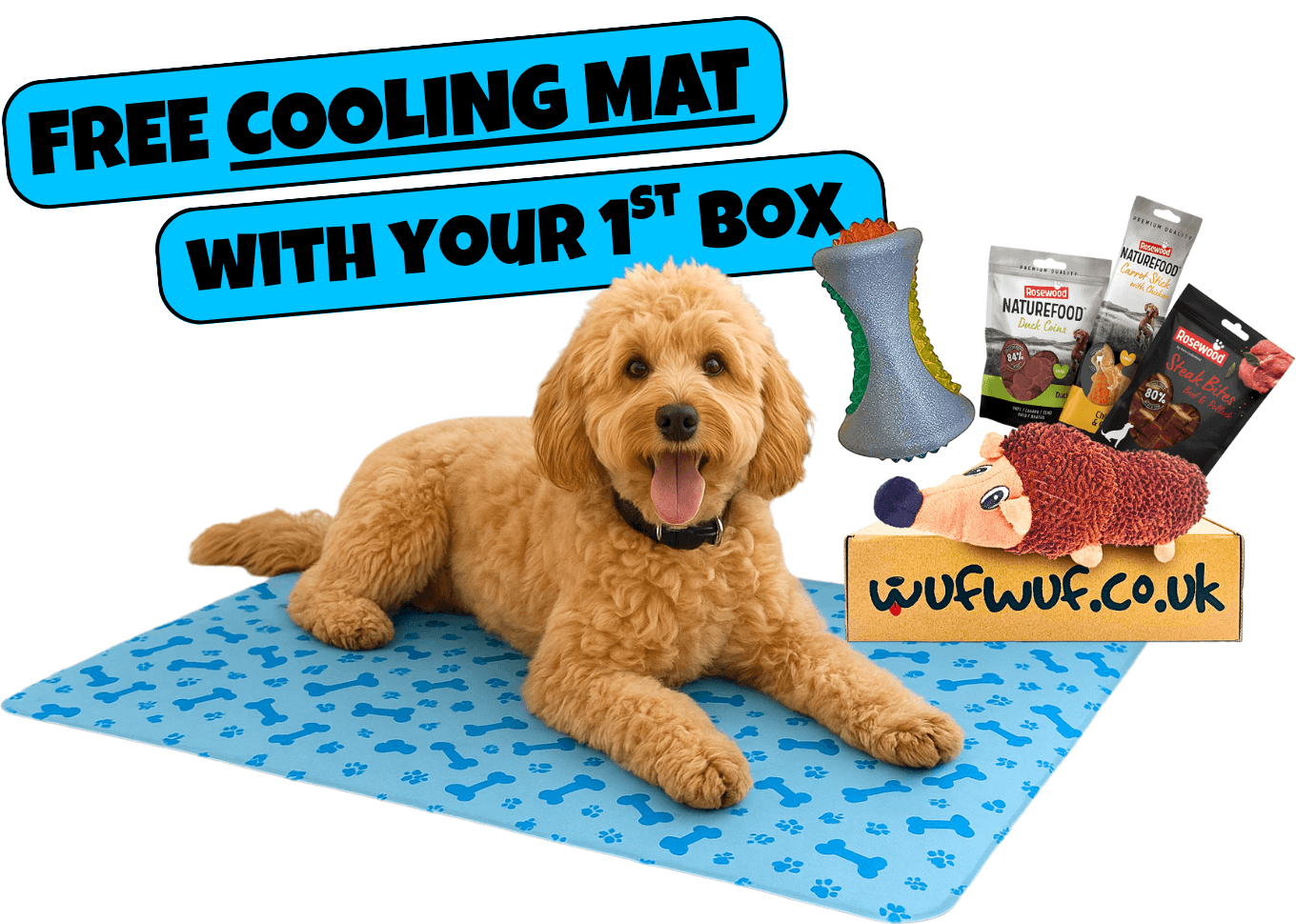 WufWuf - Your dog's monthly joy box.