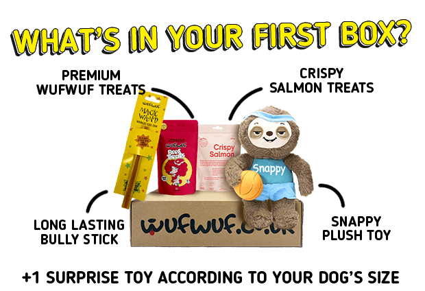 WufWuf - Your dog's monthly joy box.