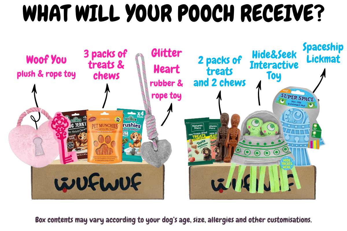 WufWuf - Your dog's monthly joy box.