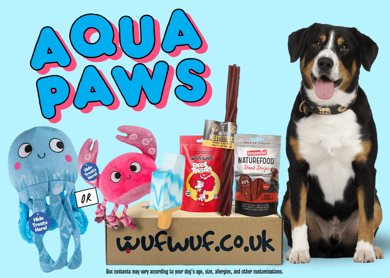 Monthly Dog Toy Subscription Boxes